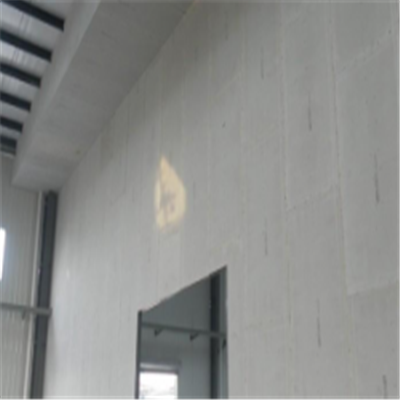 高邑宁波ALC板|EPS加气板隔墙与混凝土整浇联接的实验研讨